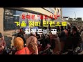 [4K] 늦가을 10,000원으로 월동 준비할 수 있다!! 1,000원짜리도 있네^^