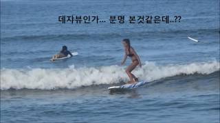 강릉 서핑 플라밍고 서프의 펀웨이브!