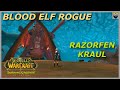 Let's Play World of Warcraft - Classic TBC - Blood Elf Rogue - Razorfen Kraul - Gameplay Walkthrough