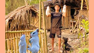 survival building a house for the rabbit in the forest🐇🐇🐇🏔️🏔️