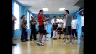 Sifu Cemil Uylukcu﻿ | proWES Chile Seminar (2013)