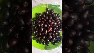 నేరేడు పళ్ళు |Jamun fruit Who like this? #ytshorts