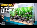 The Dwarf Danio Stream: 2ft Aquarium Tutorial