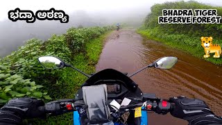 ಭದ್ರ ಅರಣ್ಯ | ದಟ್ಟವಾದ ಕಾಡಿನಲ್ಲಿ ಸವಾರಿ | 13 ಕಿಮೀ | Bhadra Tiger reserve forest