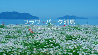 【海辺の花畑】フラワーパーク浦島