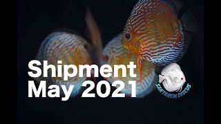 Shipment May 2021