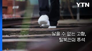 닿을 수 없는 고향, 탈북민의 추석 / YTN