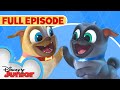 Puppy Dog Pals S1 E1 Full Episode 🐶 | Hawaii Pug-Oh 🏝️ / A.R.F. | @disneyjunior