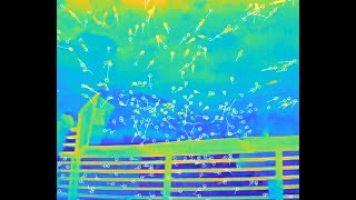 ThruTracker Tutorial 1: Video Detection