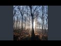 fading sun