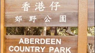 【行山Beat-Way⛳️ 】 - 香港仔郊野公園⛰（Aberdeen Country Park) 「溫馨提示⚠️：野豬🐷出沒」