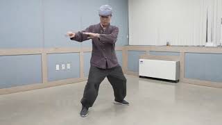 The best martial art for middle age  The Ultimate Taiji(Shin form Taiji : 辛式太極拳)