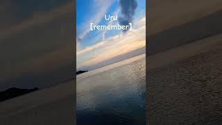 白谷海浜公園の内海です。この動画を見ながらをUruさんの「remember」を聴いてください。#music 　#Uru  #海　#白谷海浜公園　#バラード