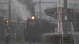 [4K]大雨でD51 498試運転が運転見合わせ 2022.07.12