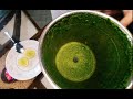 ලෙඩ රෝග රැසකට ගුණ දෙන ප්‍රතිශක්තිකරණ පානය immune boosting moringa drink