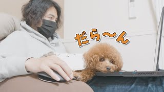 ベッドが広くなったら堕落した犬と飼い主がこうなりました…