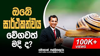 How to fast your journey to success - ඔබගේ සාර්ථකත්වයට යන ගමනේ වේගය මදි ද?  – Mohan Palliyaguru