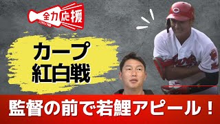 新井監督の前で…カープ紅白戦、三者連続三振・好プレー若ゴイアピール連発！ 【球団認定】カープ全力応援チャンネル 【球団認定】カープ全力応援チャンネル