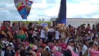 2014草加ふささら祭り、踊るんよさこい。総踊りコバトンよさこい、みやびんと一緒に。