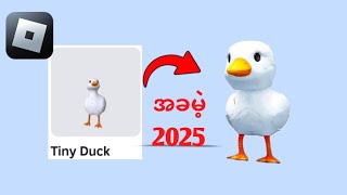 roblox 2025 | တွင် ဘဲများကို အခမဲ့ရယူနည်း roblox တွင် duck ပစ္စည်းများ