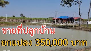 ( ปิดโครงการ ) #ขายที่ดินราคาถูกมาก เกือบ 1 ไร่ ขายยกแปลงแค่ 350,000 บาท   อู่ทอง สุพรรณบุรี