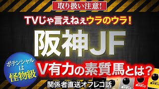 【阪神ジュベナイルフィリーズ　2021】「ポテンシャルは怪物級」V有力な素質馬のオフレコ話を公開！馬クダンカード！