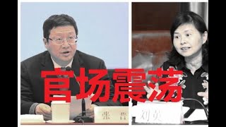 《韬有说》湖北省外确诊病例连日下降令人欣慰/官场震荡 湖北卫健委书记主任双双被免职/湖北官员抗疫不力 能力问题还是体系问题？1102 2020 | 新西兰华人电视 World