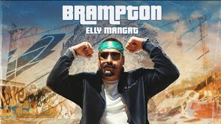 Brampton (Full Vedio) | ASTAAD G | Elly Mangat New Punjabi Song 2020 | Punjabi Melodies 🔥