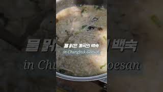 충북여행 괴산 화양계곡 백숙 계곡에서 즐기는 닭백숙