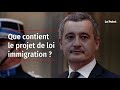 Que contient le projet de loi immigration ?