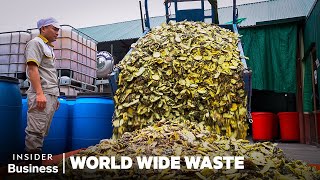 Can Pineapple Skins Replace Soap? | World Wide Waste | Insider Business