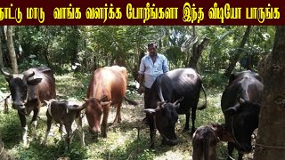 நாட்டு மாடு வாங்க வளர்க்க போறீங்களா இந்த வீடியோ பாருங்க /pasumai vivashaym