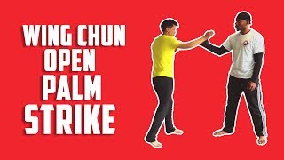 Open Palm Heel Strike Knockout vs Punch Technique