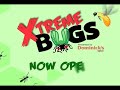 xtreme bugs challenge orchid mantis