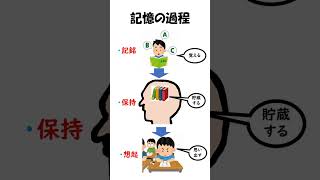 記憶の過程　#理学療法士国家試験 #作業療法士国家試験 #生理学