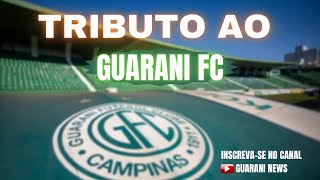 Tributo ao guarani futebol clube, homenagem ao time de campinas .guarani fc