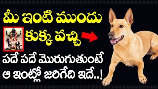 మీ ఇంటి ముందు కుక్క వచ్చి  మొరుగుతుంటే ? | Unknown FACTS About Dog Sounds | Inti Mundu KUKKA Ariste