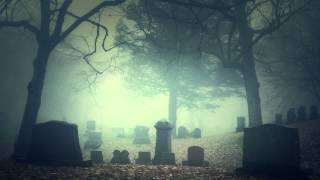 Foggy Grave // Scenery Channel // S01E04