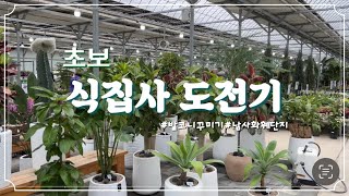 [지니표vlog] 우리집화단을 소개합니다 🤗 우당탕탕 초보식집사 도전 브이로그 ☘️ 발코니 인테리어 플랜테리어