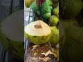 So satisfying fresh coconut cutting skill #shorts #viral #coconut #streetfood #asmr