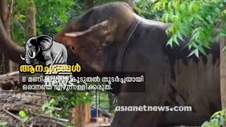 മാര്‍ഗ്ഗനിര്‍ദേശങ്ങളെല്ലാം കാറ്റില്‍ പറത്തി ആനകളോട് കണ്ണില്ലാത്ത ക്രൂരത