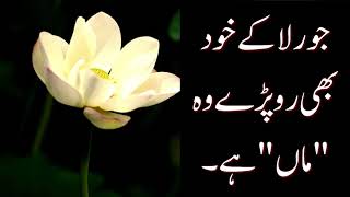 Best Parents Video Status | WhatsApp Ammi Abu Poetry Lines | Maa Baap Quotes | Family Shayari