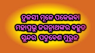 ତୁଳସୀ ମୂଳେ ପକେଇବା ମହାପ୍ରଭୁ ଜଗନ୍ନାଥଙ୍କର ବହୁତ ସୁନ୍ଦର ପଦ୍ମବେଶ ମୁରୁଜ // Kartika Purnima Special Rangoli