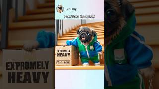 Baby pug get’s dizzy from carrying boxes😕 Watch what his mom does..?!😳 #aiart #funny y