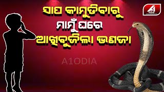 ସାପ କାମୁଡାରେ ଚାଳିଗଲା ୬ ମାସ ଶିଶୁର ଜୀବନ || A1 ODIA