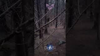 Scary Creature Caught On Camera Shorts
