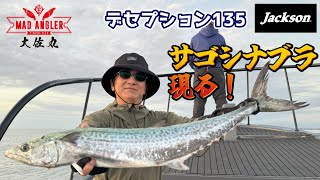 【2024.10.24】強烈サゴシナブラ！【伊勢湾奥四日市遊漁船】【サワラキャスティング】