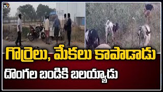 దొంగల బీభత్సానికి బలైన యువకుడు | Thieves Hulchul at adoni | Kurnool | 10TV