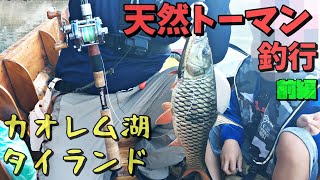 アブ　アンバサダーで天然トーマン（雷魚）釣行！タイ カオレム湖　前編