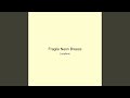 Fragile Neon Breeze